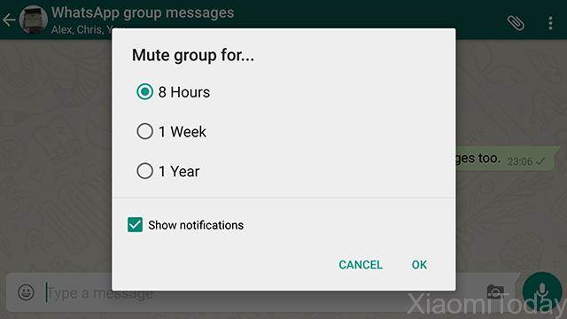 Whatsapp Hidden Mute