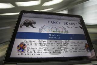 Image: The Fancy Bears website fancybear.net seen on a computer screen 