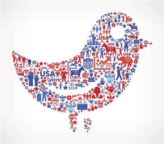 Image: Twitter icon with an election themed design