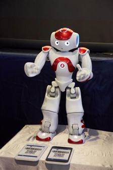 Papago's service robot