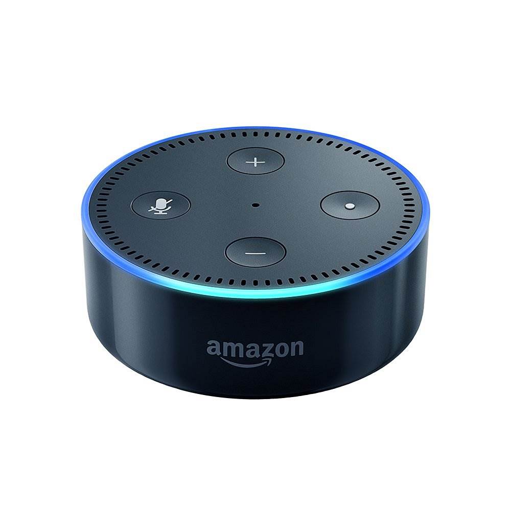 amazonechodot2