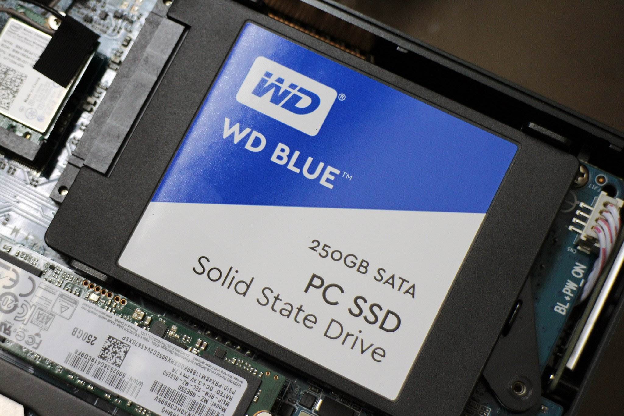 Русские ссд. WD Blue 256gb SSD. SSD jpg. Ссд компания. Компания ссд Москва.