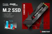 BIOSTAR Unveils M500 M.2 2280 Two Lane PCI-Express NVMe SSD