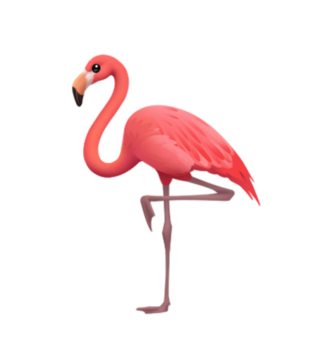 flamingo