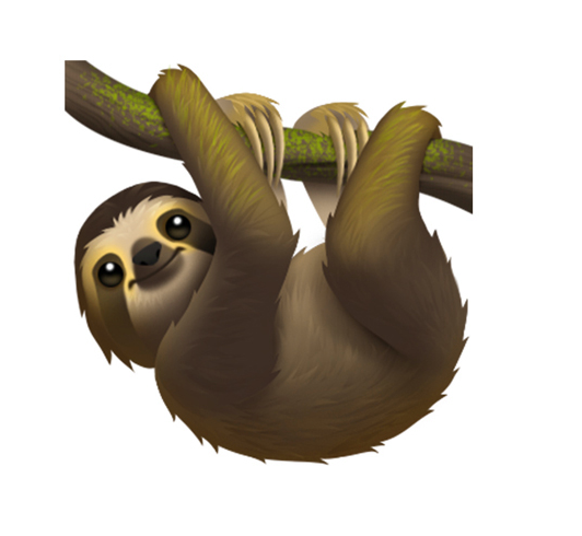 sloth