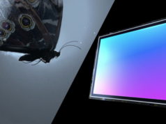 How the ISOCELL Bright HM1 Raises the Bar as Far as Detail