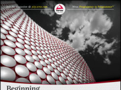 Beginning Software Engineering