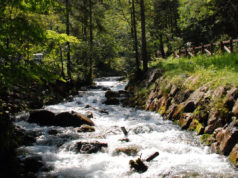 How agile improvement groups use worth streams How agile development teams use value streams