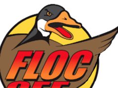 WordPress websites (41% of the online) to dam Google’s FLoC by