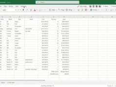 Office Scripts in Excel on the internet lets you automate