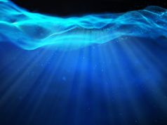 OpenSea launched an app — nevertheless it’s for searching, not shopping for