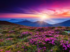 Google rolls out a brand new JPEG coding library Google rolls out a new JPEG coding library