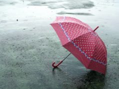 Fisker collapsed beneath the load of its founder’s guarantees