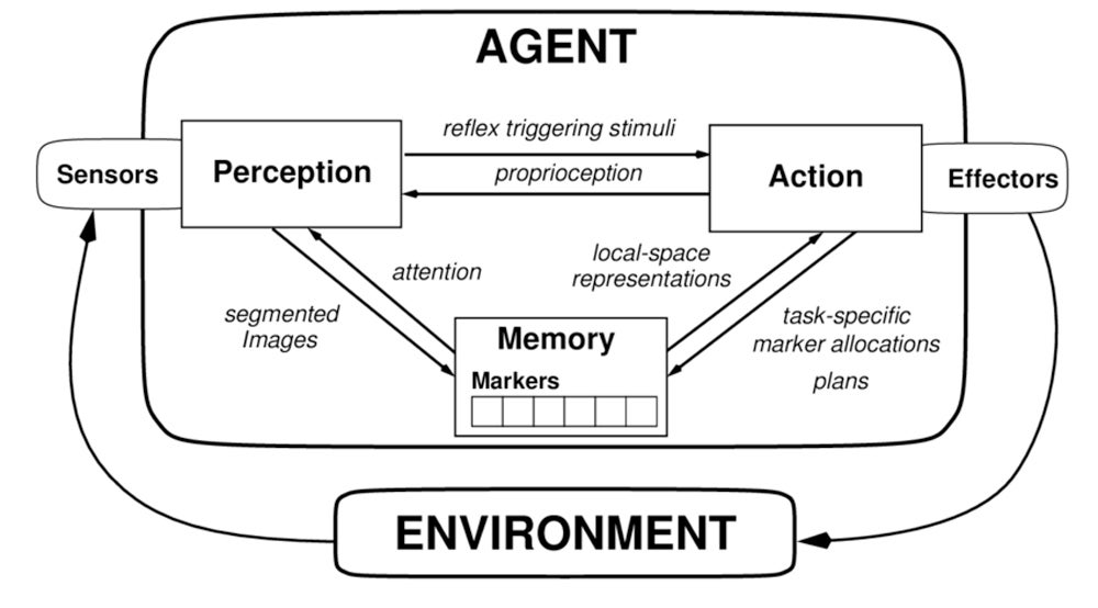 An diagram showing that an AI agent has a two-way relationship between perception and action.