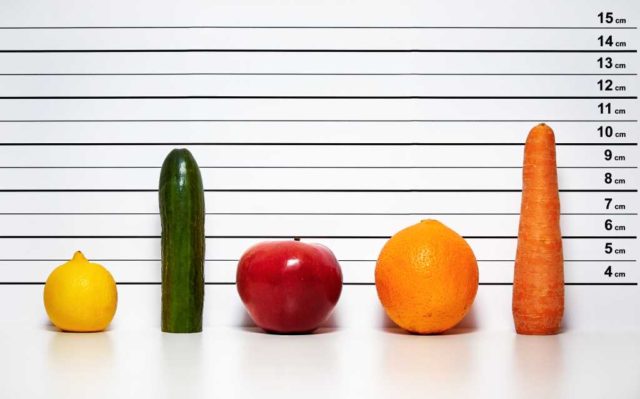 The usual suspects. Five vegetables in a lineup.