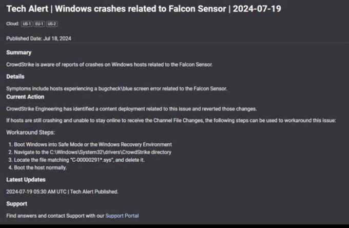 a screenshot displaying information about the Falcon Sensor issue on July 19.