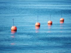 Wittaya Aqua’s data-driven AI helps seafood farmers enhance