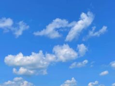 GoBlue’s new app enables you to observe your Bluesky stats