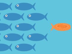 OpenAI secured extra billions, however there’s nonetheless capital left