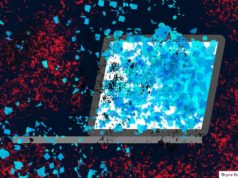 Rhode Island says private information seemingly breached in social