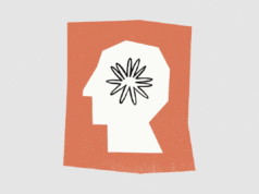 Anthropic’s new Citations function goals to scale back AI errors