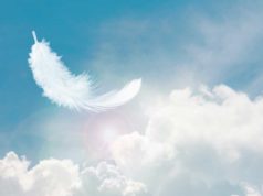 Ephemeral environments in cloud-native improvement Soft and Light Fluffy White Feather Floating in The Sky with Clouds. Abstract Feather Heavenly Dreamy Fluffy Colorful Sky.