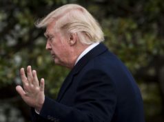 Trump Administration cuts might threaten AI analysis efforts