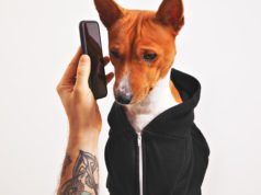 New AI Models Claim to ‘Talk to the Animals’ Like Dr. Dolitt… A dog calling someone through phonr.