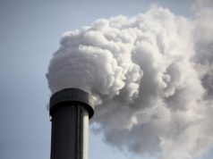 Trump to endorse coal for information heart energy within the face of