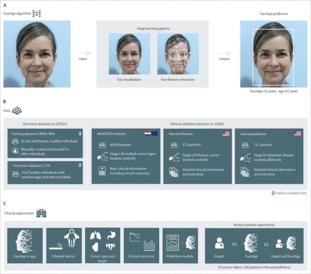 1747225244_FaceAge-AI-Tool-Surpasses-Doctors-with-81-Accuracy-in-Cance.jpg FaceAge tool and related research from Mass General Brigham.