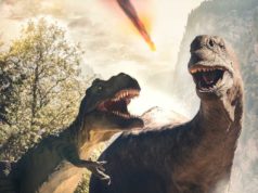 Reports of Deno’s demise ‘greatly exaggerated,’ Deno… Two dinosaurs before extinction with flaming asteroid falling in the background