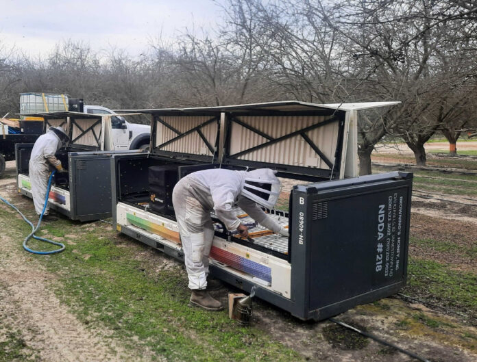 Beekeepers using a machine to work on their bees.