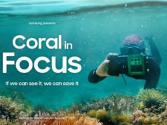 ‘Coral in Focus’ Premieres on the United Nations Ocean