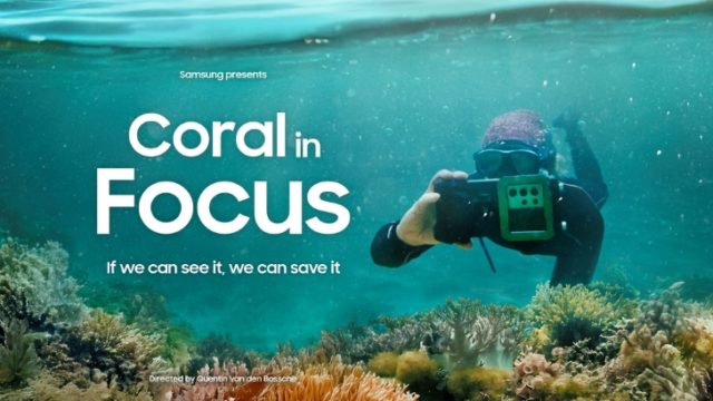 ‘Coral in Focus’ Premieres at the United Nations Ocean