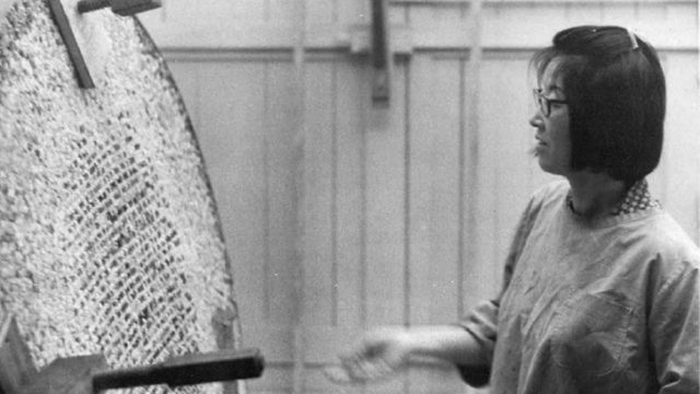 Translating Nature’s Rhythms Into a Language of Light and