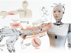 China Unveils ‘Electronic Skin’ That Gives Robots Human-Like… The neuromorphic NRE-skin system.