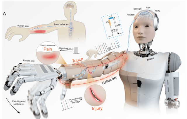 The neuromorphic NRE-skin system.