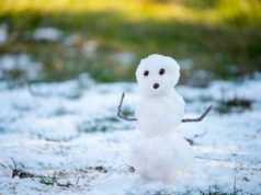Snowflake software program replace brought on 13-hour outage throughout… melting snowman