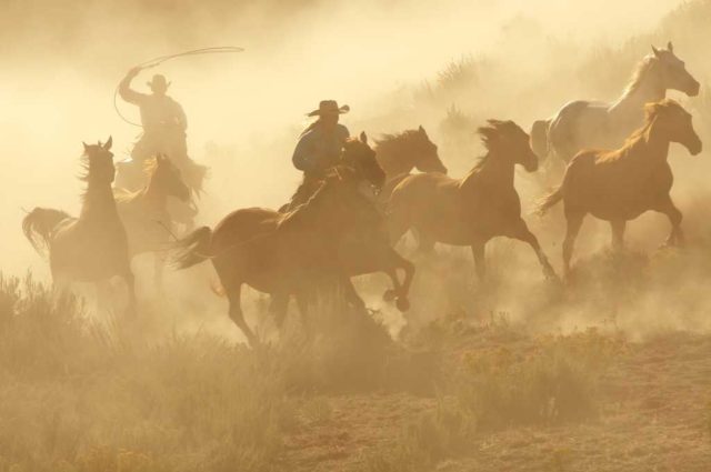 AI-agents-and-IT-ops-Cowboy-chaos-rides-again.jpg shutterstock 17221348 Wild West two cowboys galloping dusty desert roping horses