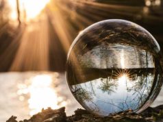 The dying of reactive IT: How predictive engineering… Clear glass crystal ball on brown dried leaves
