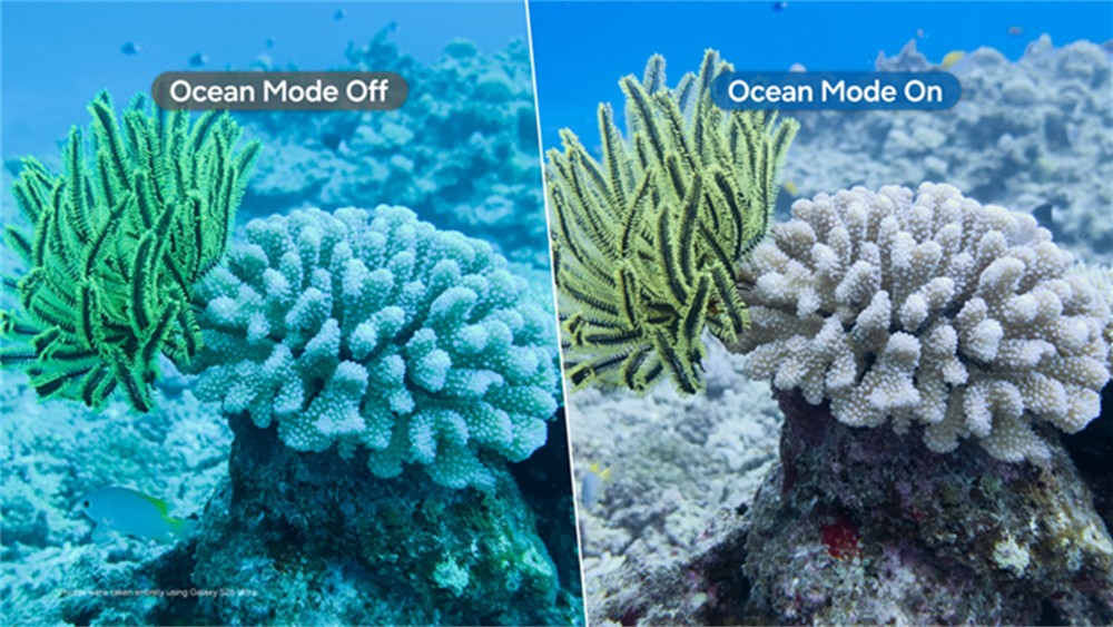 Side-by-side comparison of coral imagery captured on a Galaxy mobile phone with standard camera settings (left) and Ocean Mode (right), highlighting improved color correction and reduced motion blur underwater.