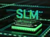 Small language fashions: Rethinking enterprise AI… AI