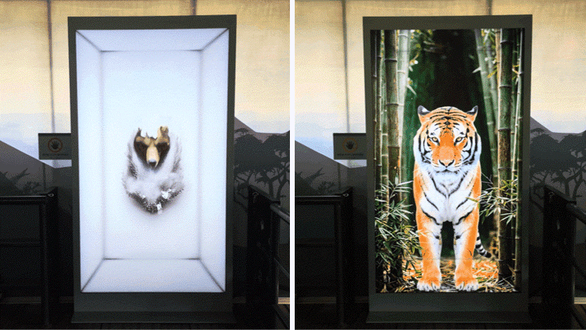 Spatial Signage heightens anticipation for the safari adventure with its glasses-free 3D visuals.