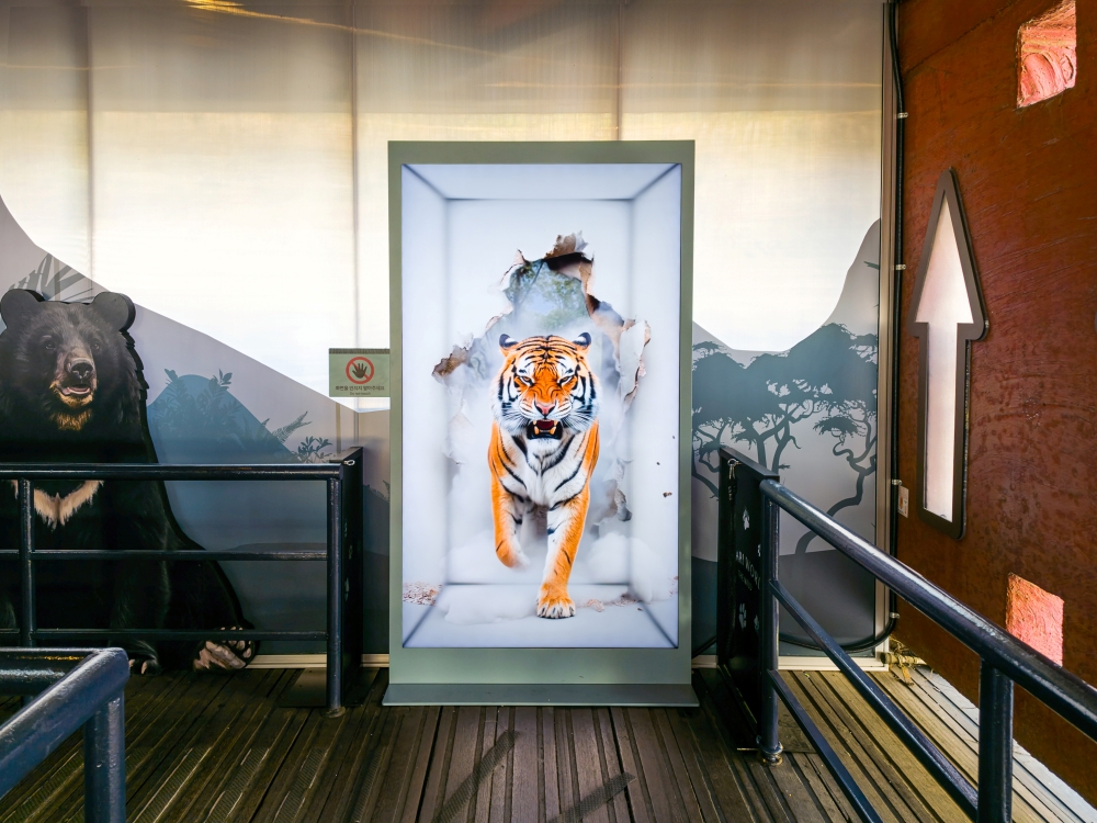 Spatial Signage installed in the waiting area of Everland’s Safari World