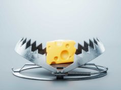 Beware of the genAI token lure A large piece of cheese in a bear trap, close-up. The concept of a trap, cheating, credit, free cheese in a mousetrap. 3D render, 3D illustration