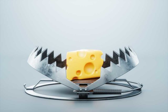 Beware-of-the-genAI-token-trap.jpg A large piece of cheese in a bear trap, close-up. The concept of a trap, cheating, credit, free cheese in a mousetrap. 3D render, 3D illustration
